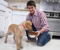 Как кормление собак влияет на их жизненную активность: основные правила кормления